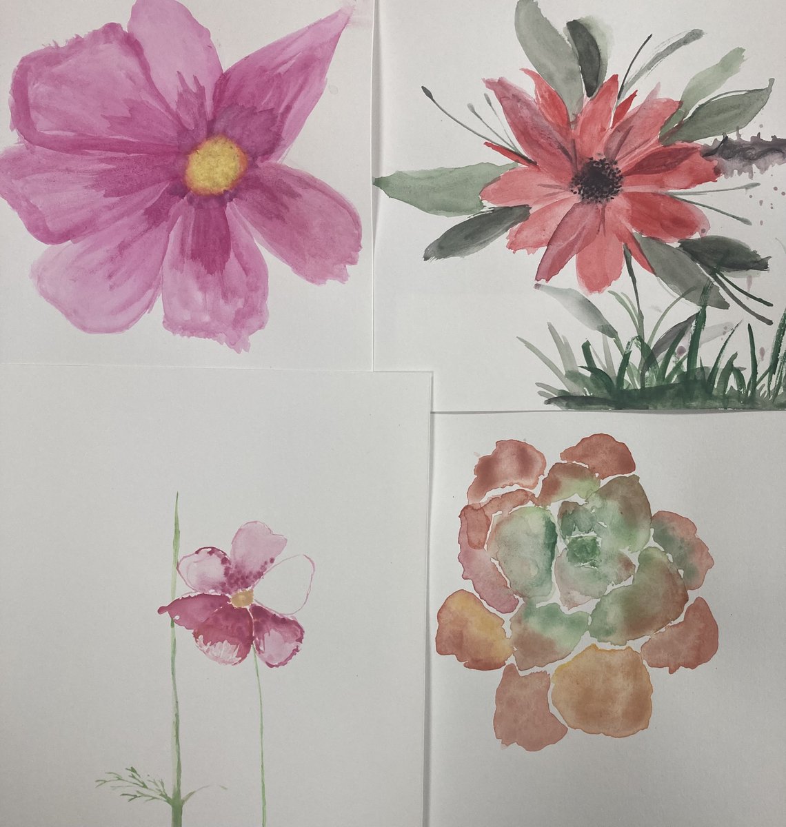NDHSDesignDept's tweet photo. S3 have been using their photos from the Botanic Gardens to try out water colour techniques. Can you see who has used ‘wet on wet‘ and ‘wet on dry’? @ndhsglasgow https://t.co/LObzCBrDtv