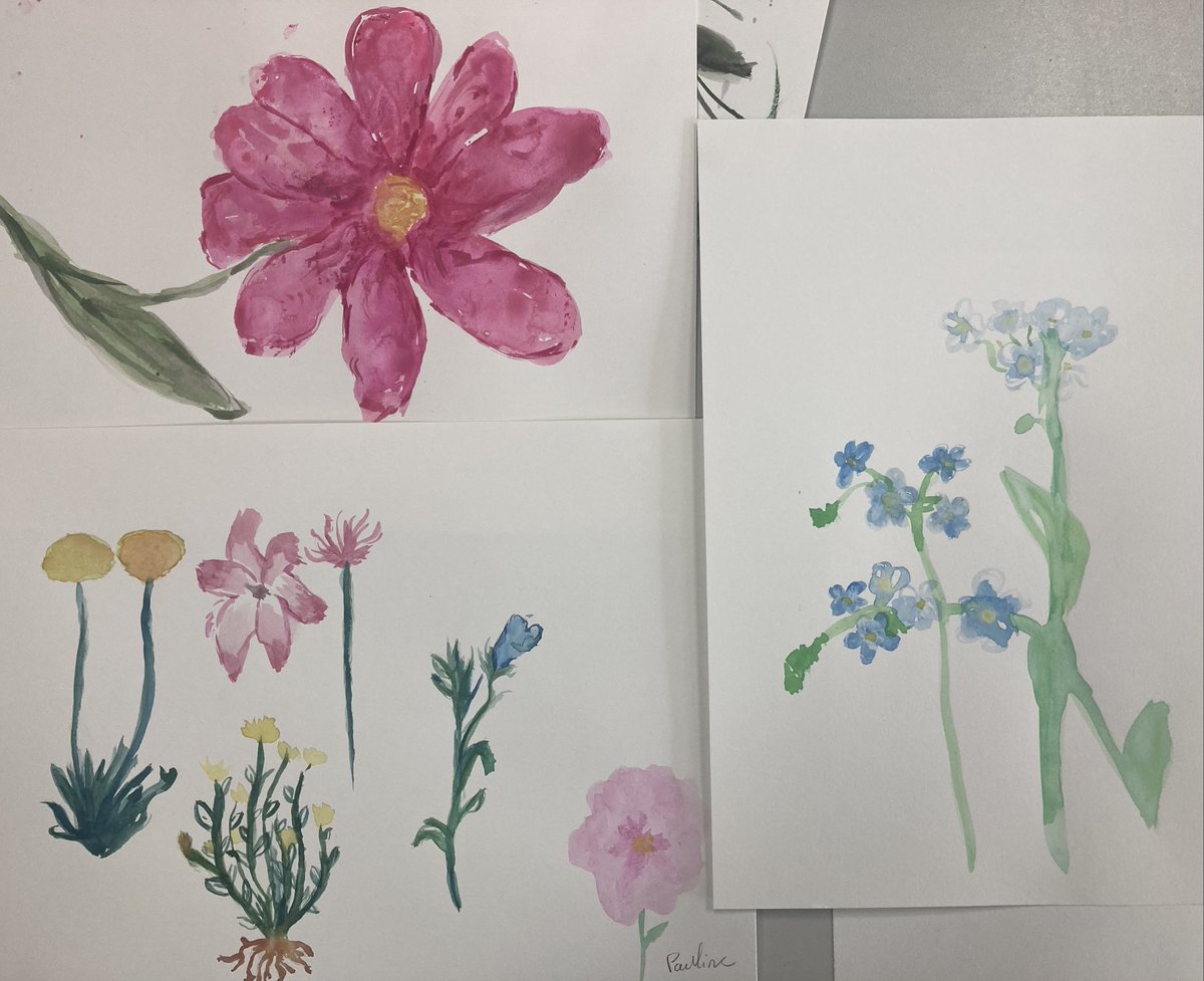NDHSDesignDept's tweet photo. S3 have been using their photos from the Botanic Gardens to try out water colour techniques. Can you see who has used ‘wet on wet‘ and ‘wet on dry’? @ndhsglasgow https://t.co/LObzCBrDtv