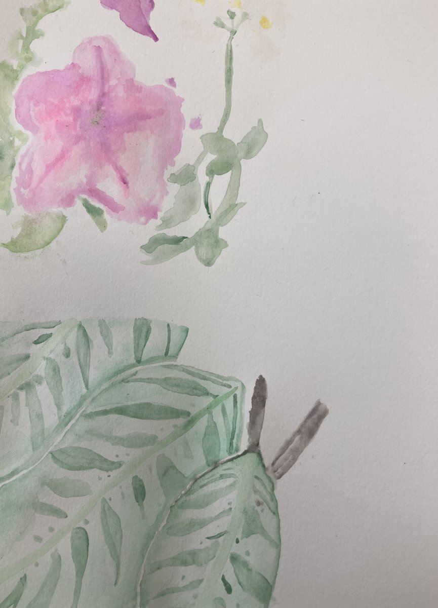 NDHSDesignDept's tweet photo. S3 have been using their photos from the Botanic Gardens to try out water colour techniques. Can you see who has used ‘wet on wet‘ and ‘wet on dry’? @ndhsglasgow https://t.co/LObzCBrDtv