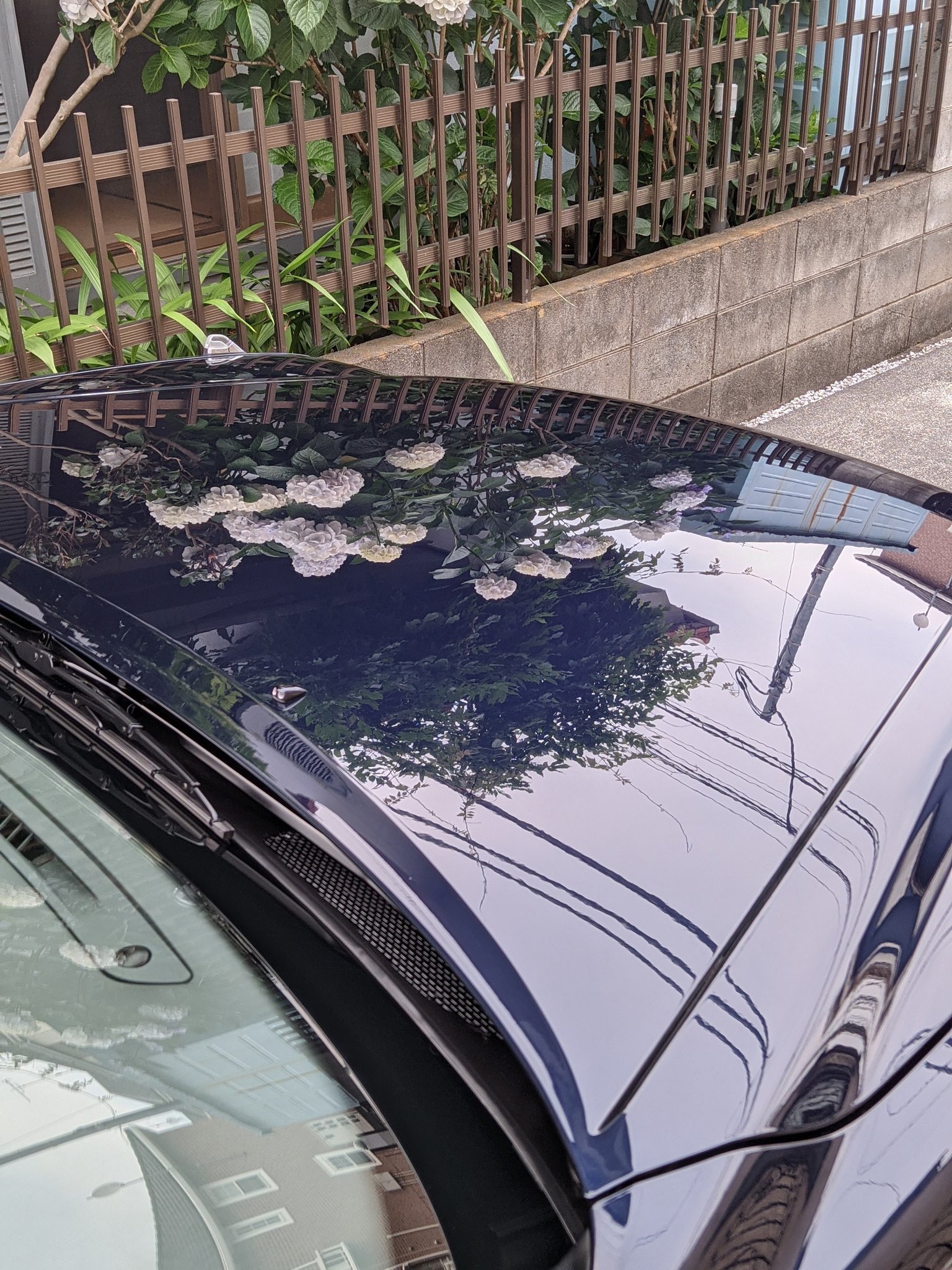 矢部自動車販売 Myrco Twitter