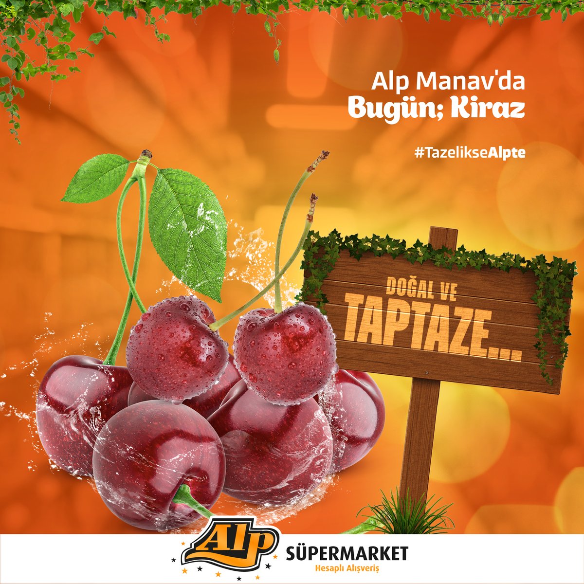 Rengiyle iştah arttıran Kiraz!
🔸Vücudumuzu toksinlerden arındırır.
🔸İçerdiği antioksidanlar kansere karşı koruyucudur.
🔸Kolesterol ve kan şekerini düşürmeye yardımcıdır.

#AlpSüpermarket #onlinealışveriş #denizlimarket #sanalmarket #alışveriş #indirim #uygunfiyat #alpmanav