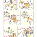 慰めてくれている･･･？愛犬が遊んだあとの、部屋に散乱するトイレットペーパーを片付けていると･･･!