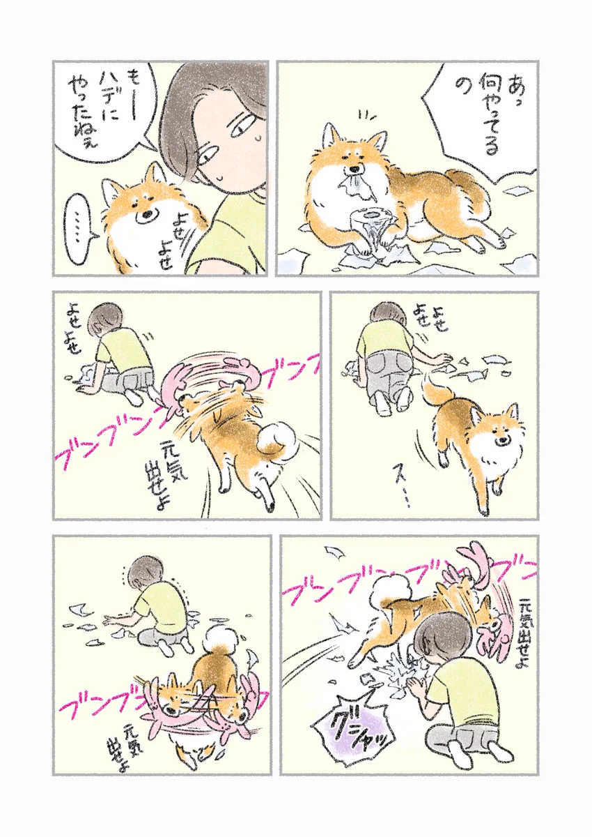 慰めてくれている･･･？愛犬が遊んだあとの、部屋に散乱するトイレットペーパーを片付けていると･･･！