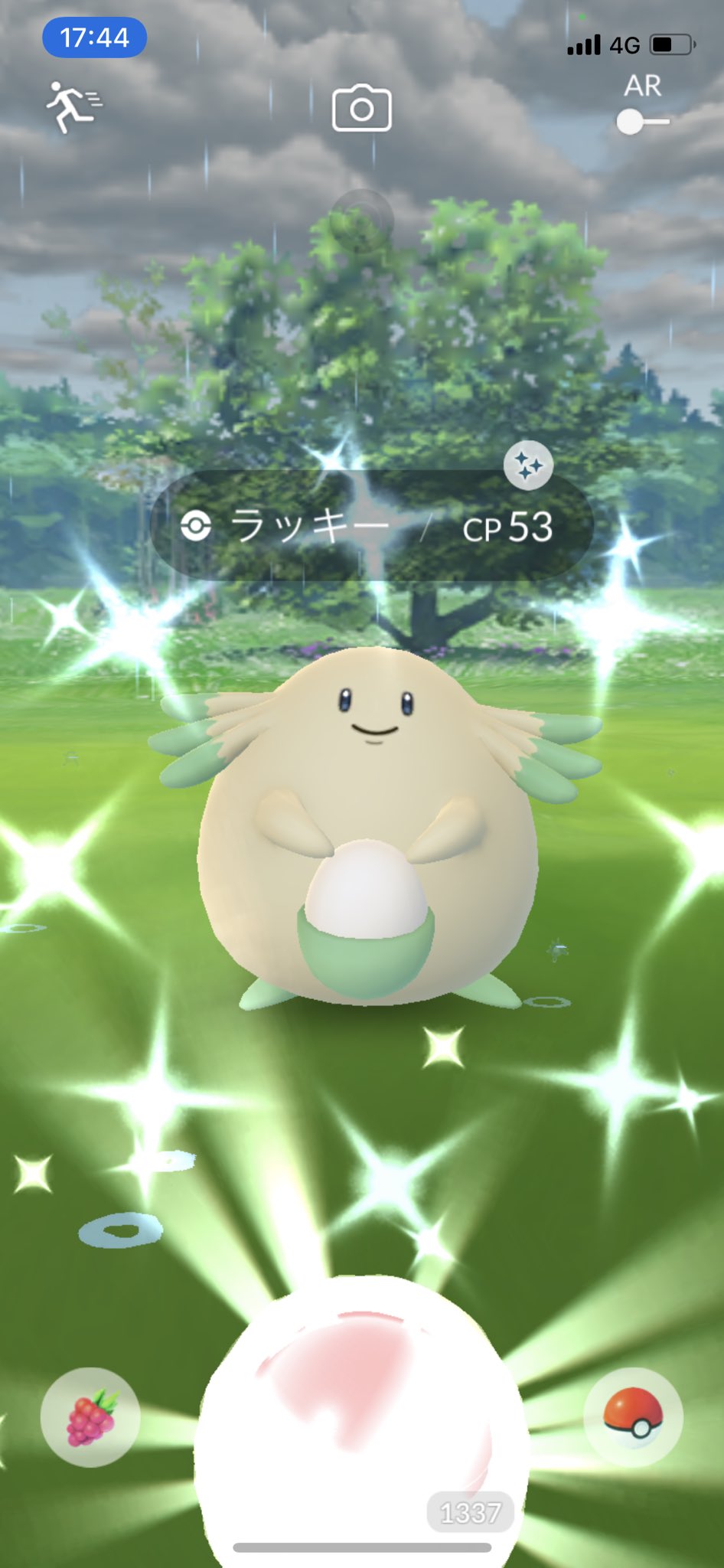تويتر Kenjitchi على تويتر ラッキー Cp低 ポケモンgo ラッキー色違い T Co 5rkmqs6khh