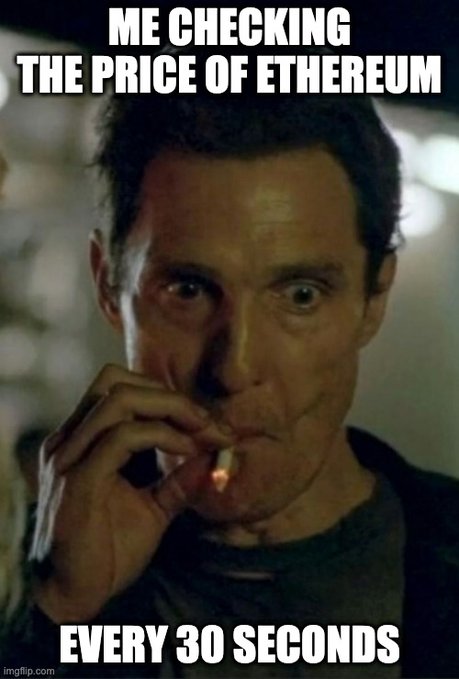 The Bearded Ape Teen Club tweet media