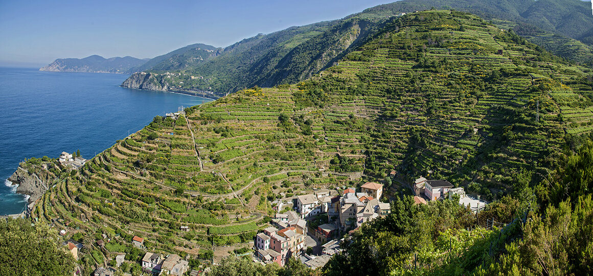 viajepatrimonio's tweet photo. Uno de los pueblos más pequeños de las Cinque Terre italianas es también de los más famosos: Manarola. 

Fundado en la Edad Media, sus habitantes ocupan un reducido espacio entre el mar y unas montañas que han terraceado intensamente para poder practicar la agricultura https://t.co/VRg74P9MHs