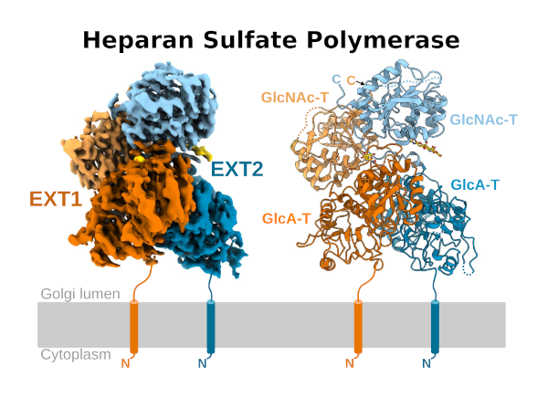 Rebekka_Wild tweet media