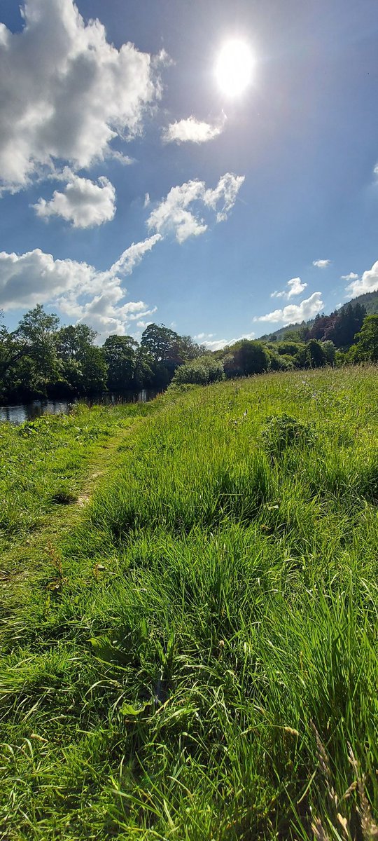 MissOutdoorEd's tweet photo. Morning sunshine 🌄🌞 #gooutdoors #welshsun https://t.co/XprcWOGitC