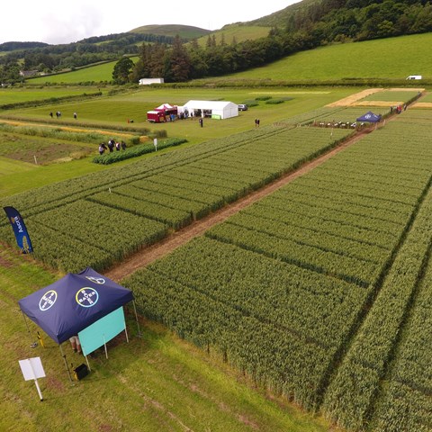 Bayer4CropsUK's tweet photo. Zooming in on Edinburgh!
#DYK Edinburgh has more trees per head of population than any other UK city? 🌲
#DYK Our Edinburgh Field Day is on 14th July with @AgronomistGrant @AgriCraig @Dekalb_osr @FieldviewUk? ➕ Top tips to protect your grain in storage @BayerPestUK🌾 https://t.co/YrVnowBuKw