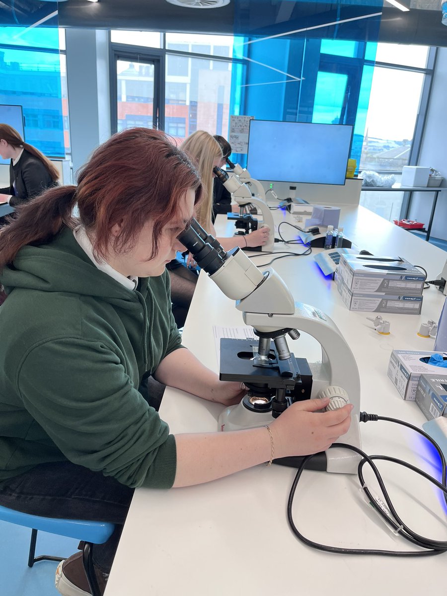 Brechin High HFT tweet media