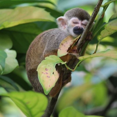 AlexxRunner's tweet photo. #NewProfilePic https://t.co/ccaTjf2OHq