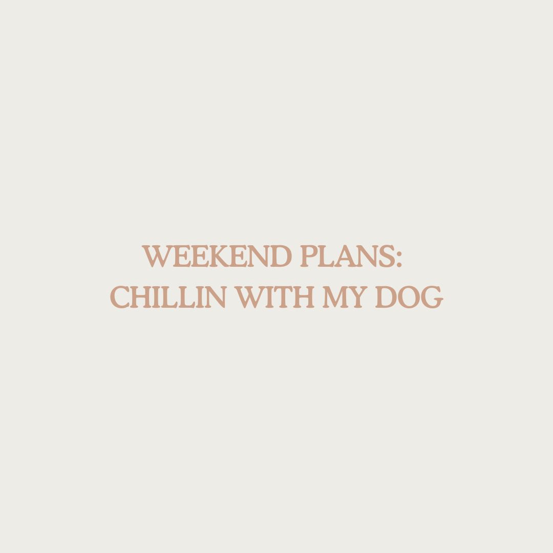 thewestwillow's tweet photo. Might throw in a nap too 😴 https://t.co/bGIahj41wK