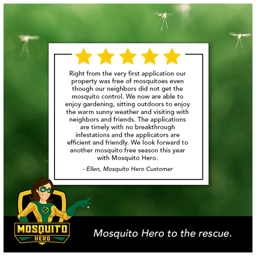 MosquitoHeroPA's tweet photo. Like Ellen, enjoy your outdoor space again with Mosquito Hero's mosquito control programs. Visit us online today at https://t.co/I1ruNWJhmU. #FridayFeeling #outdoorliving #mosquitocontrol #customerreview https://t.co/787zBLaB5y