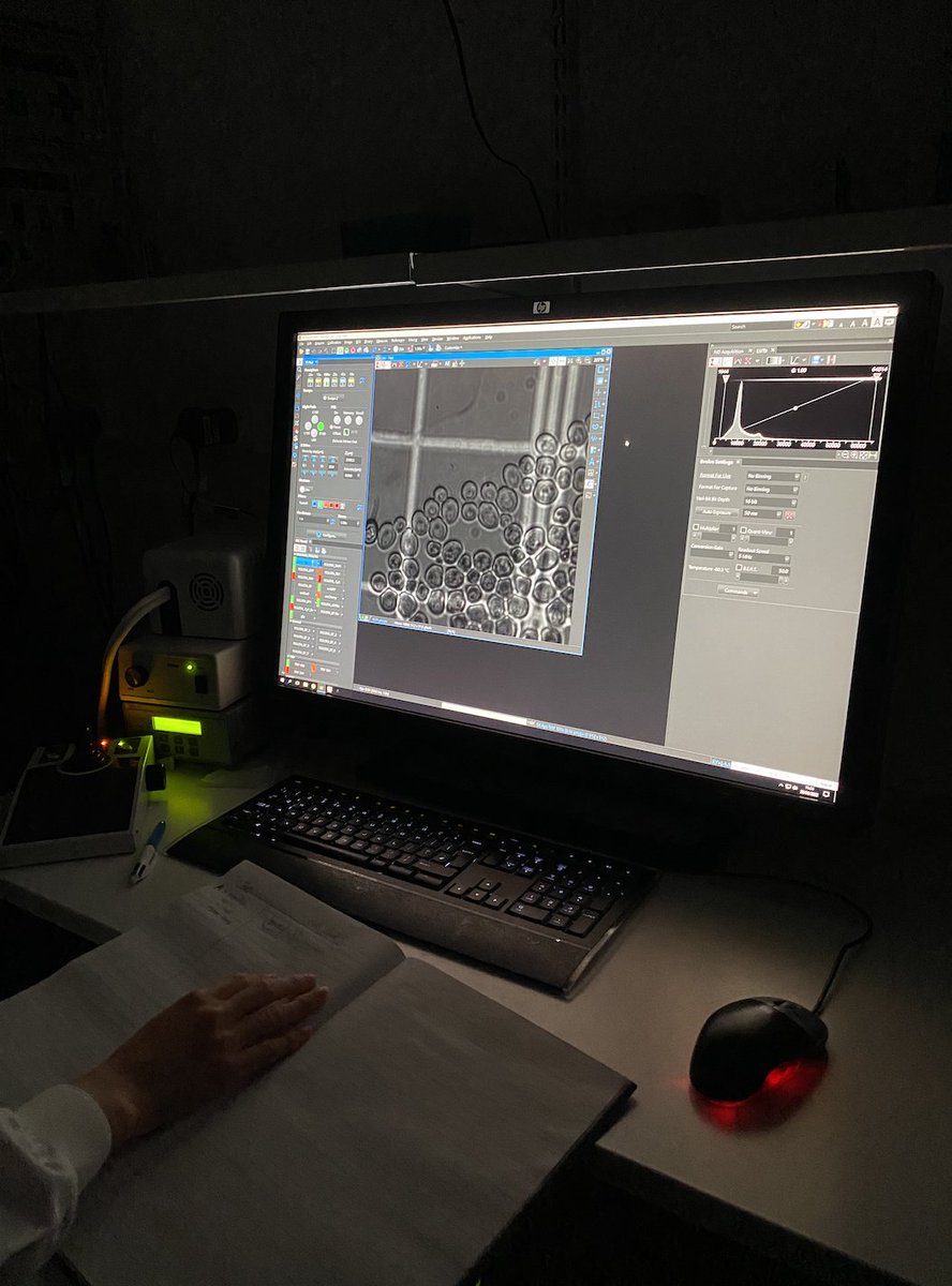 Kitty and Koren have been spending the day testing optimal yeast growth conditons. This is to ensure that single yeast cells can be observed on the microscope whilst in flight! #FlyYourThesis#ESA#labwork