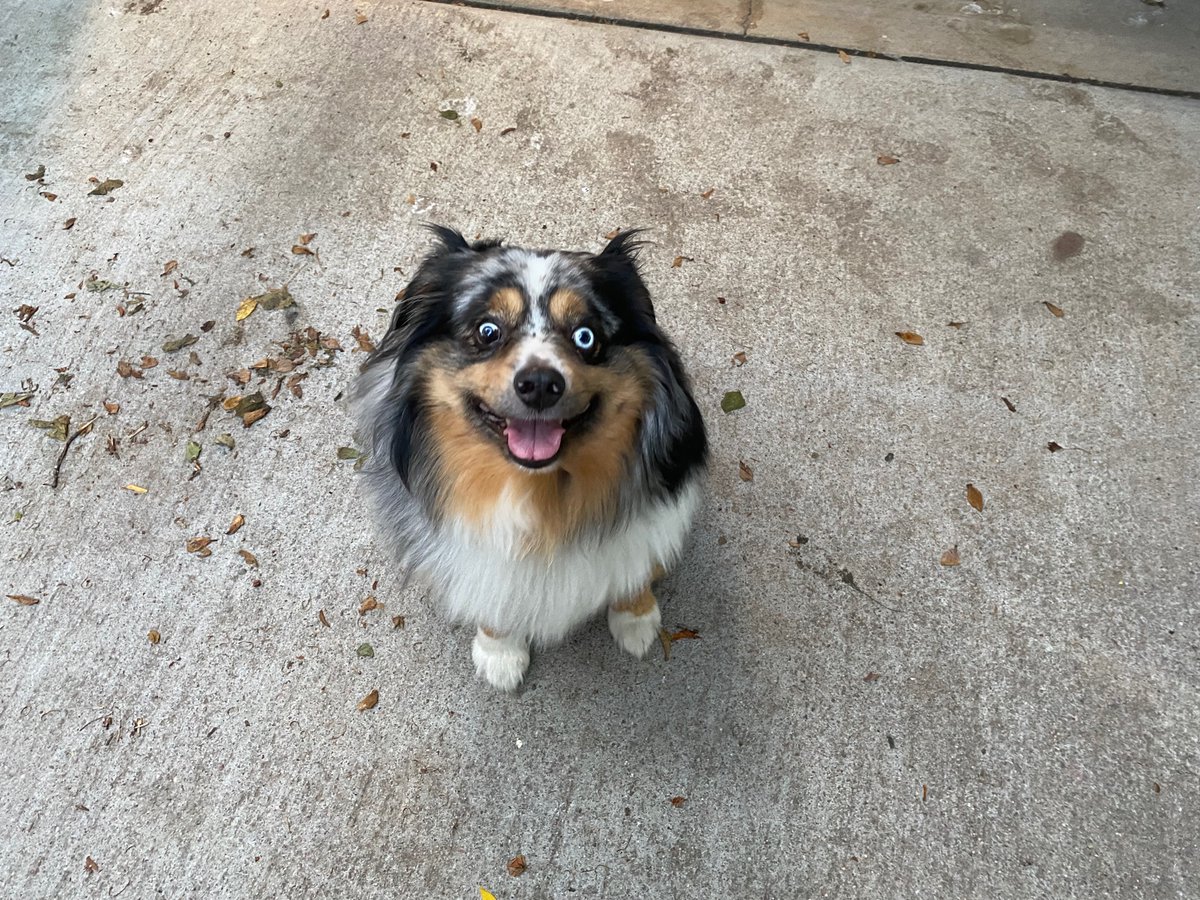 steven_sipple's tweet image. Happy Monday from Bullet :)