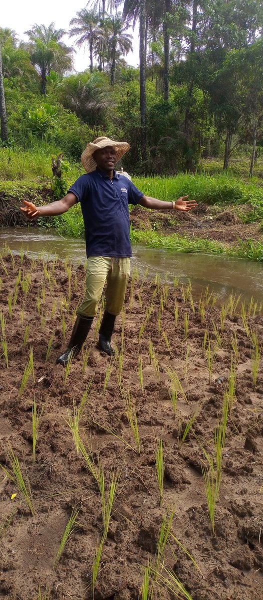 fodaysoriek's tweet photo. HAPPY IS HE WHO SEES MONEY IN DIRTY/MUD.

Get a little dirty and enjoy afterwards. Money 💰 is not only found in an office , on a soft turning chair 💺 NO!!!

Get up, find a small piece of land, plant  Cabbage 🥬, tomatoes 🍅 , potatoes etc.
#Weekends on the Farm
#Farm4Market Inv https://t.co/fZjfkx1xJV
