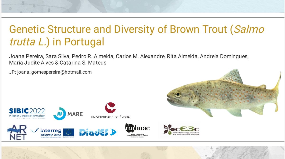 CatarinaPMateus's tweet photo. Joana Pereira from @univdeevora and @MARE_centre presenting our results on genetic structure of brown trout at  @sibic2022 Well done! 
#DiadESproject @AtlanticArea @SIBICorg #browntrout https://t.co/G7IAvip4wV