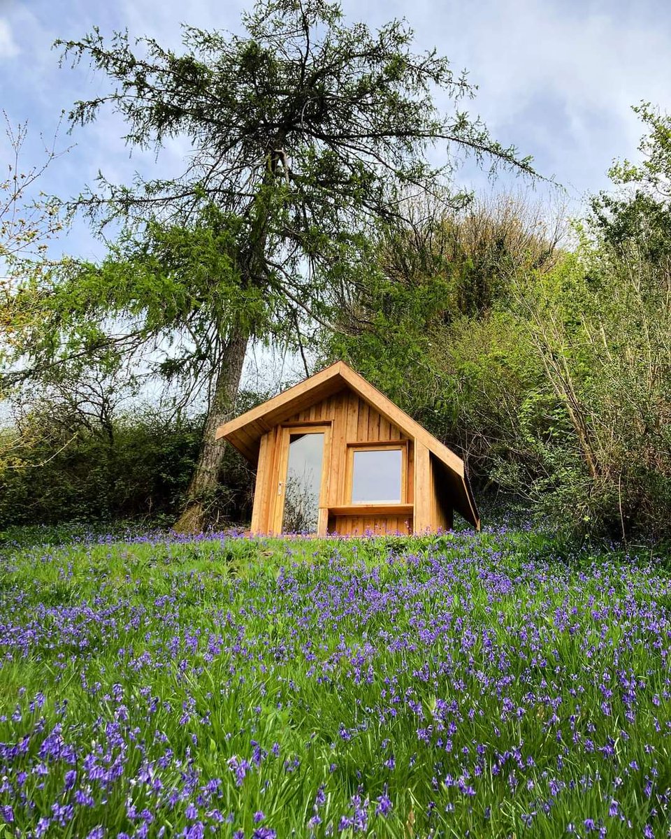 We were greeted by a stunning display of bluebells when we climbed to the top of this hill and revisited one of our pods this week 🤩
#bluebells #larch #handmade #welshtimber #sustainability #madeinwales  #folly #gardenstudio #gardenpod #pod  #bespoke #westwales #cabin #hilltop
