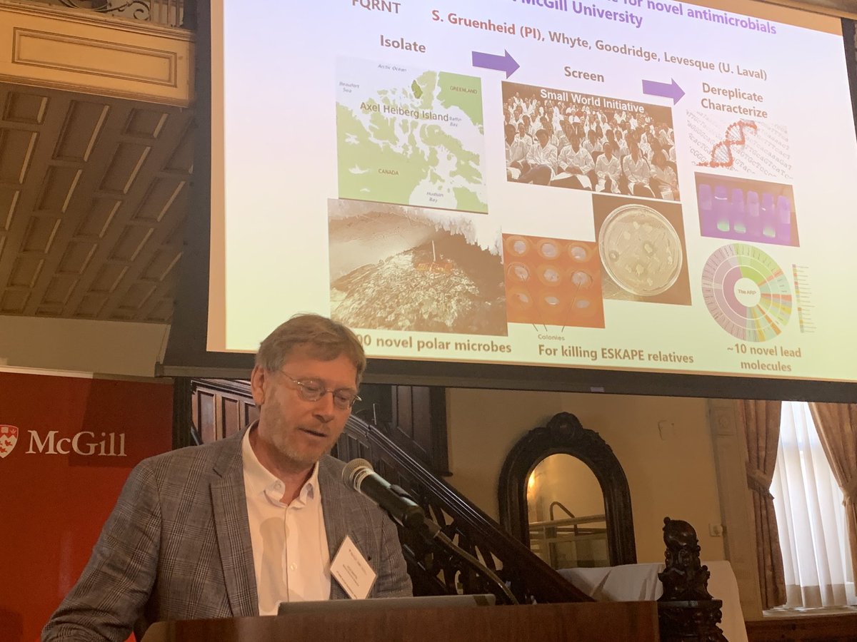 Makeda Semret (@msemret) on Twitter photo Bioprospecting for novel antimicrobials in the 🇨🇦 Arctic; just one example of fascinating work by AMR centre members of <a href="/mcgillu/">McGill University</a>! <a href="/MI4Innovates/">MI4</a> <a href="/DrSamGru/">Sam Gruenheid</a> <a href="/jensomics/">Jen Ronholm</a> <a href="/DavidJuncker/">David Juncker</a> @Castagner10 <a href="/dominic_frigon/">Dominic Frigon</a> Bioprospecting for novel antimicrobials in the 🇨🇦 Arctic; just one example of fascinating work by AMR centre members of <a href="/mcgillu/">McGill University</a>! <a href="/MI4Innovates/">MI4</a> <a href="/DrSamGru/">Sam Gruenheid</a> <a href="/jensomics/">Jen Ronholm</a> <a href="/DavidJuncker/">David Juncker</a> @Castagner10 <a href="/dominic_frigon/">Dominic Frigon</a>
