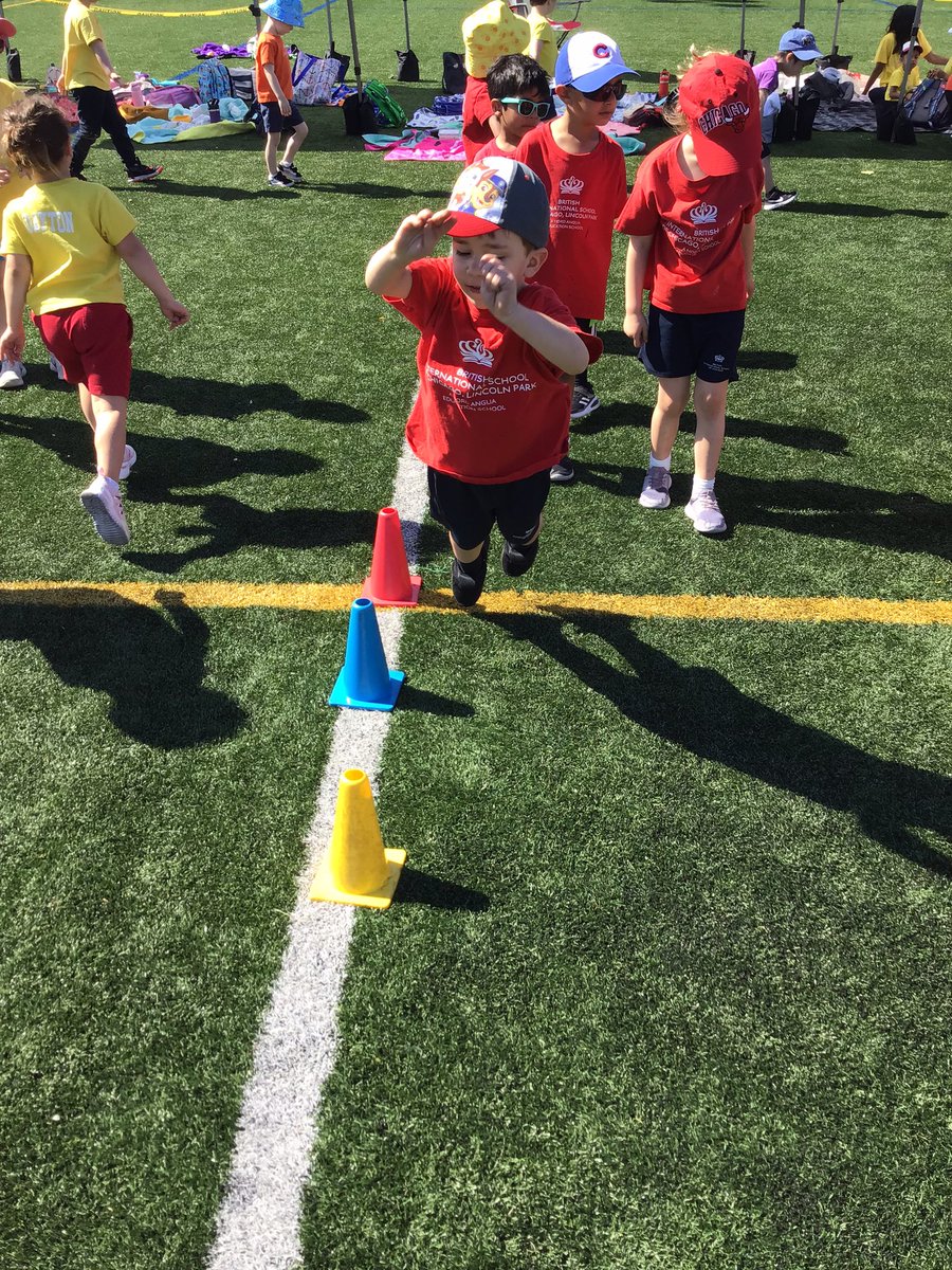 BISC-LP Reception tweet media