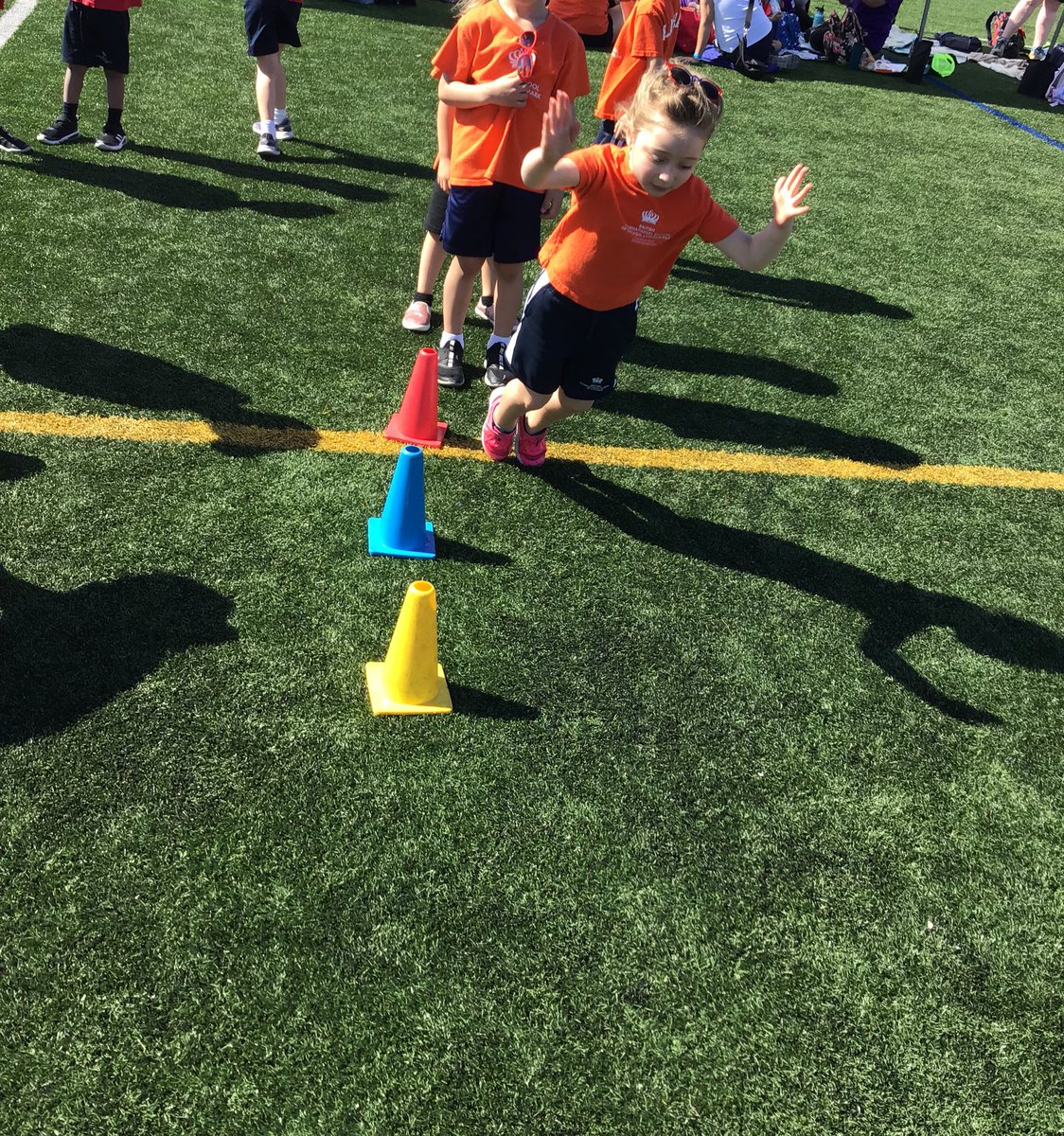 BISC-LP Reception tweet media