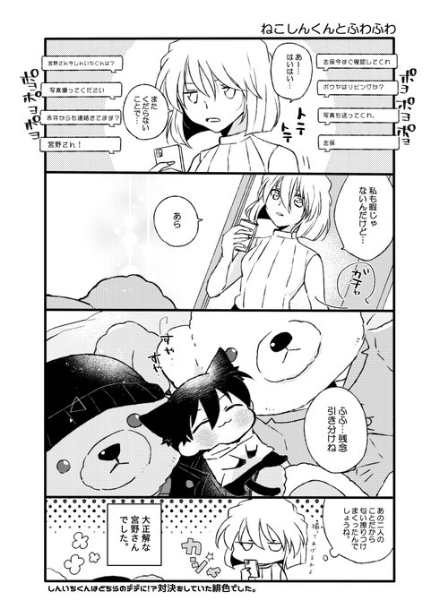 ねこしんくんふわふわ 