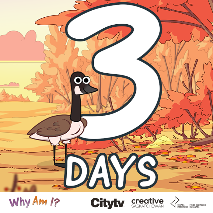 WhyAmIKids (@whyamitvshow) on Twitter photo Get ready for NEW EPISODES!
⏰ Thursday June 23rd at 7:09am, 7:16am, 8:51am, 8:58am, 10:47am and 10:55am
#WhyAmIKids on <a href="/City_tv/">Citytv+</a>
<a href="/creativesask/">Creative Saskatchewan</a> <a href="/CMF_FMC/">Canada Media Fund</a> Get ready for NEW EPISODES!
⏰ Thursday June 23rd at 7:09am, 7:16am, 8:51am, 8:58am, 10:47am and 10:55am
#WhyAmIKids on <a href="/City_tv/">Citytv+</a>
<a href="/creativesask/">Creative Saskatchewan</a> <a href="/CMF_FMC/">Canada Media Fund</a>