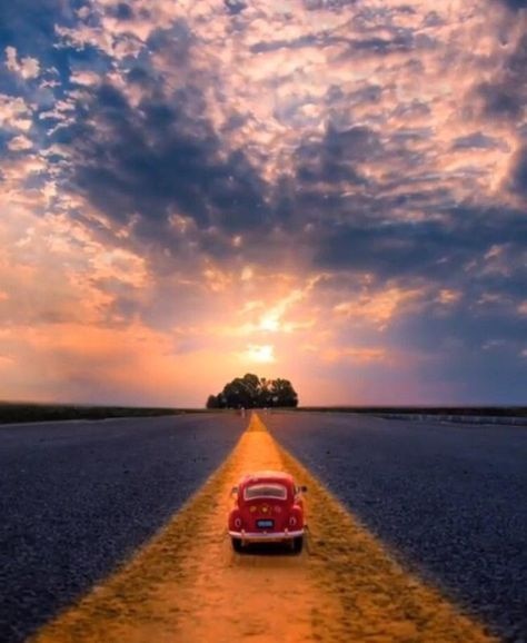 KLC_Internation's tweet photo. "If you really want to do something, you'll find a way. If you don't, you'll find an excuse." -- Jim Rohn

When there is a want to succeed you WILL make it that way. Keep hunting the good stuff! 

#RegionV
#alwaysready 
#motivation https://t.co/8Gmvyz9KkZ