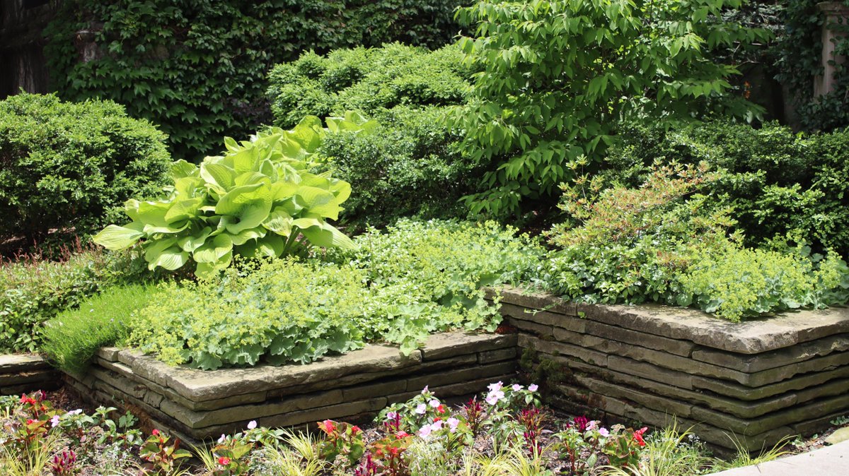 UChicago's tweet photo. For 25 years, the University of Chicago campus has been a recognized botanic garden—serving as both an aesthetic and educational display, and offering a thriving oasis within Chicago’s urban landscape. https://t.co/x5UC2ScYfA