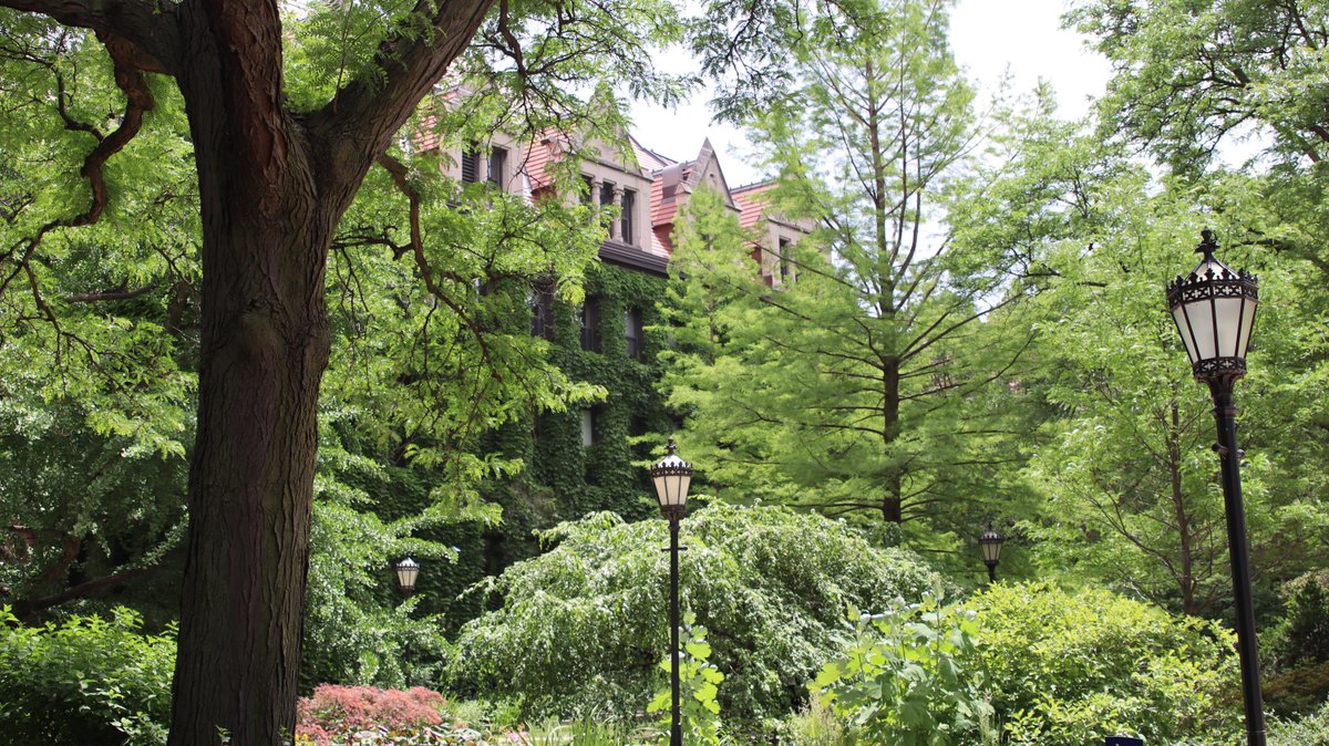 UChicago's tweet photo. For 25 years, the University of Chicago campus has been a recognized botanic garden—serving as both an aesthetic and educational display, and offering a thriving oasis within Chicago’s urban landscape. https://t.co/x5UC2ScYfA