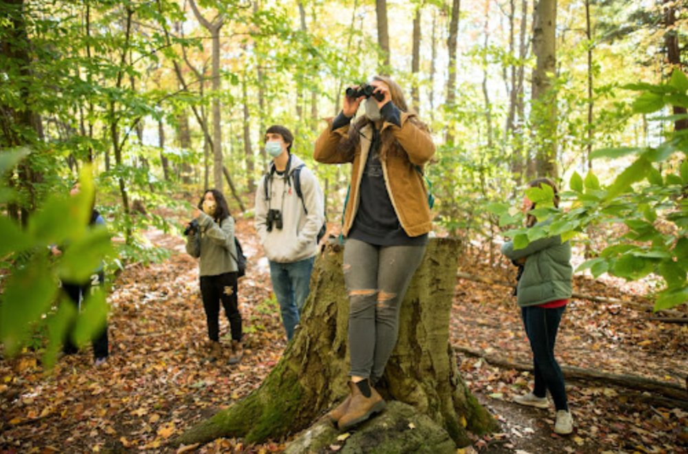 naturebytesuk's tweet photo. #naturebytes in action

Collaborating with @MondayState we built a programme that trains anyone how to harness the benefits of #nature with powerful #wellbeing tools 💭

This enabled clients (@Channel4, @mcsaatchi &amp; @viaplaygroup) to use nature to improve their #mentalhealth 🌱🧠 https://t.co/lLNzhLl8i2