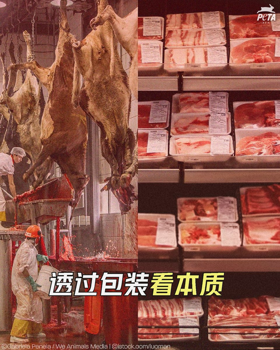 PETAAsiaZH's tweet photo. 超市里一包包整齐包装好的肉类,很容易让人忘记这些都曾是活生生的动物。
当你真正看到这些肉类本来的样子,你还会吃吗?#选择纯素食 🌱
#AnimalRights #Veganism #EndSpeciesism #PETA #ReasonsToGoVegan #GoVeg #FriendsNotFood #Cows #Beef #Burger #Steak #HowToGoVegan #VeganCooking https://t.co/eyDjHGBtVV
