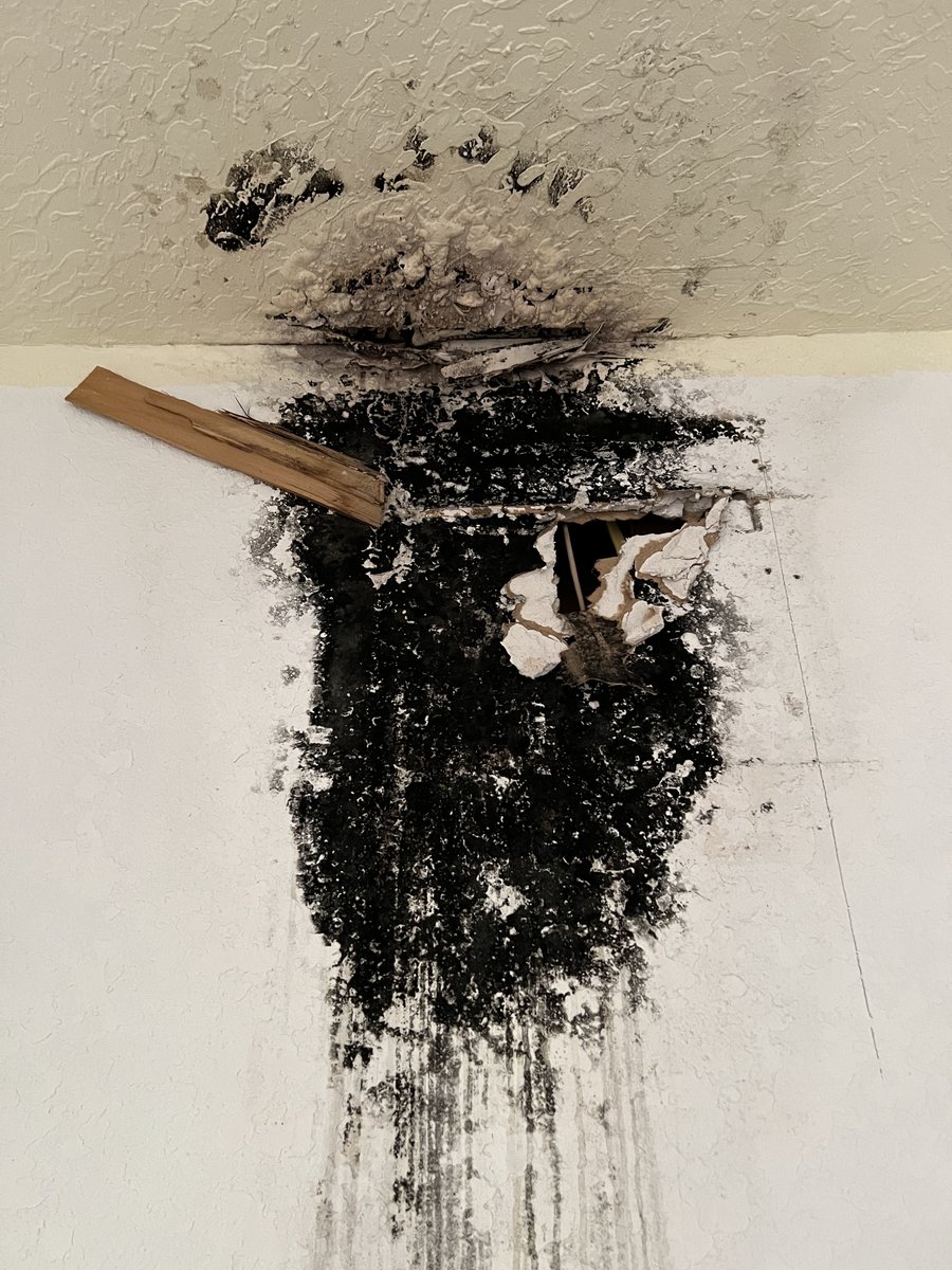 #MoldMonday Another example of water damage not being treated properly which allowed mold to form over time