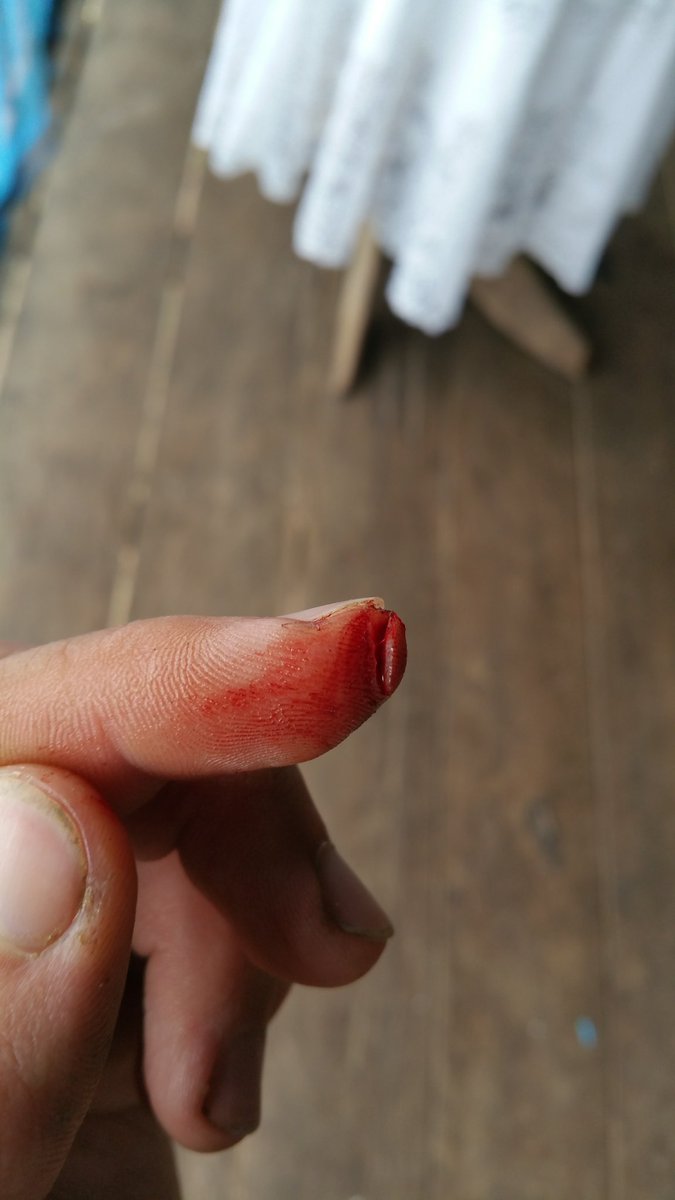 FabianSchmiedlechner tweet media