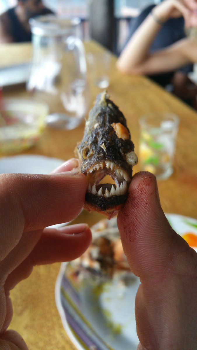 FabianSchmiedlechner tweet media