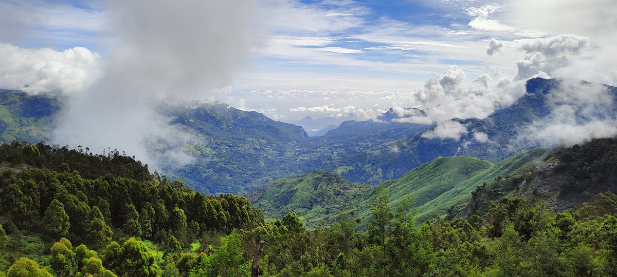 arjunbeatz's tweet photo. #arjunbeatz #photography #landscapephotography #kodaikanal https://t.co/wJT81HsokG