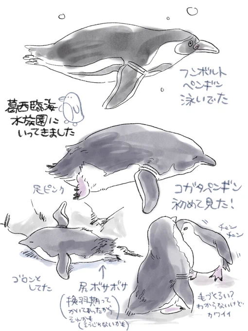 日記🐧 