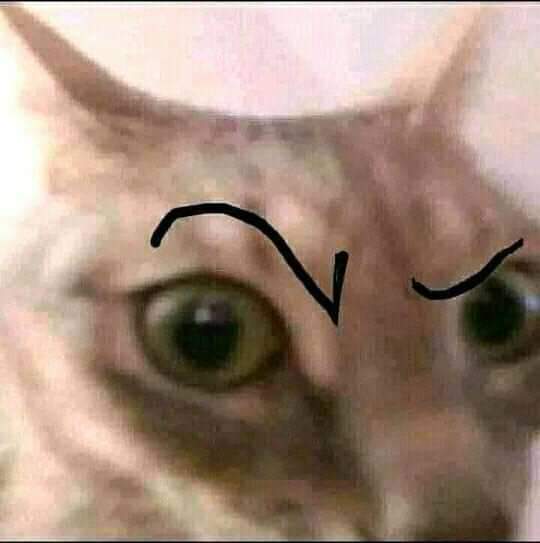 MNgejoke's tweet photo. @memefess Mangsoed? https://t.co/4LTXLSWlt1