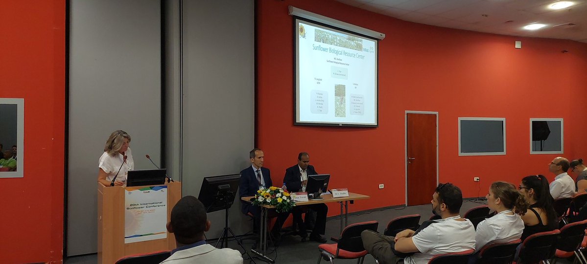 LIPME_Toulouse's tweet photo. Marie-Claude Boniface from @LIPME_Toulouse #LIPME_SPI presenting 60 years of the #sunflower biological resource centre at @INRAE_Tlse at the International Sunflower Conference #ISC2022 in Novi Sad via @NicoLanglade https://t.co/3XAsYRffA0