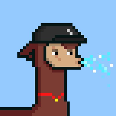 jenvarb's tweet photo. @ThugPacaz #0671 my new NFT ✨🦙 https://t.co/wCtgoXeZhs