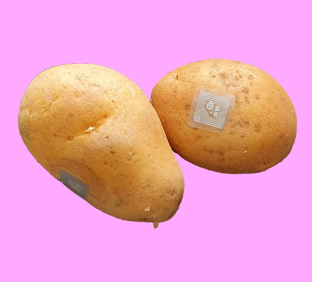 albertinmeunier's tweet image. WHAT IS LA PATATE CHAUDE

Pick a  potato  for a chance to win “La Patate Chaude” NFT!
“La Patate Chaude” is a #DataDada art installation through which one lucky person will receive an original NFT artwork by artist @AlbertinMeunier 

Only one potato contains an artwork, ...