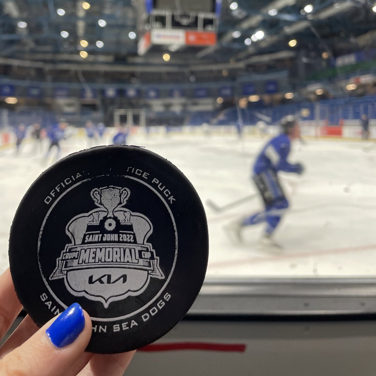 Saint John Sea Dogs tweet media