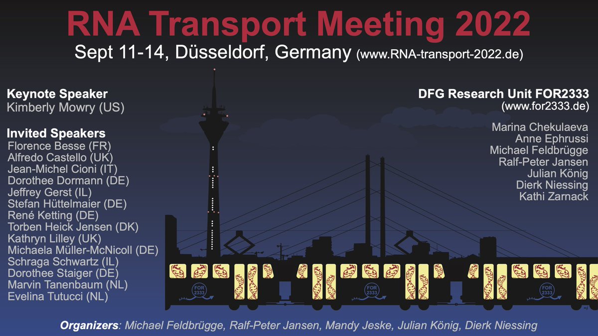 Register now for the #RNA Transport Meeting 2022 in Düsseldorf! We are looking forward to meet everyone there! rna-transport-2022.de