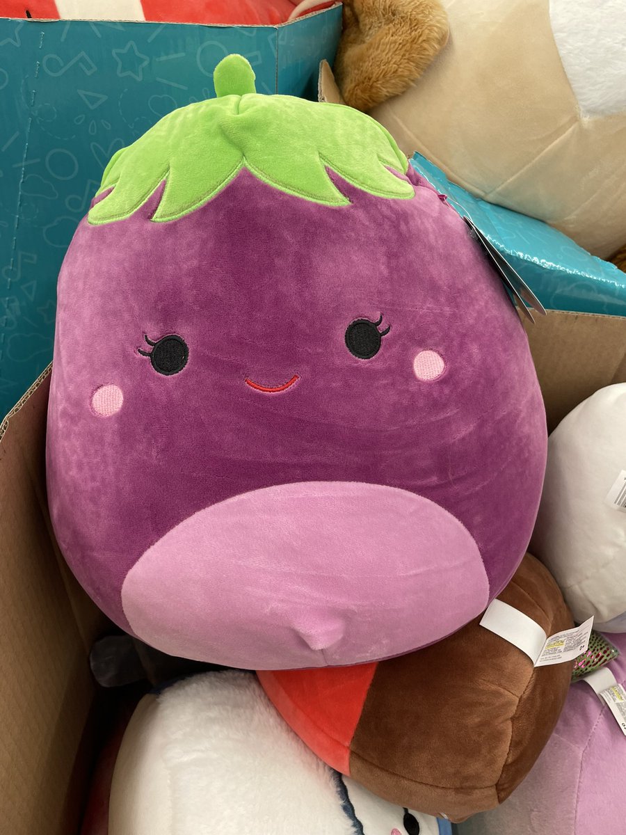 kennawind's tweet photo. Not the eggplant 😂😂 #squishmallows https://t.co/limiU4ojVh