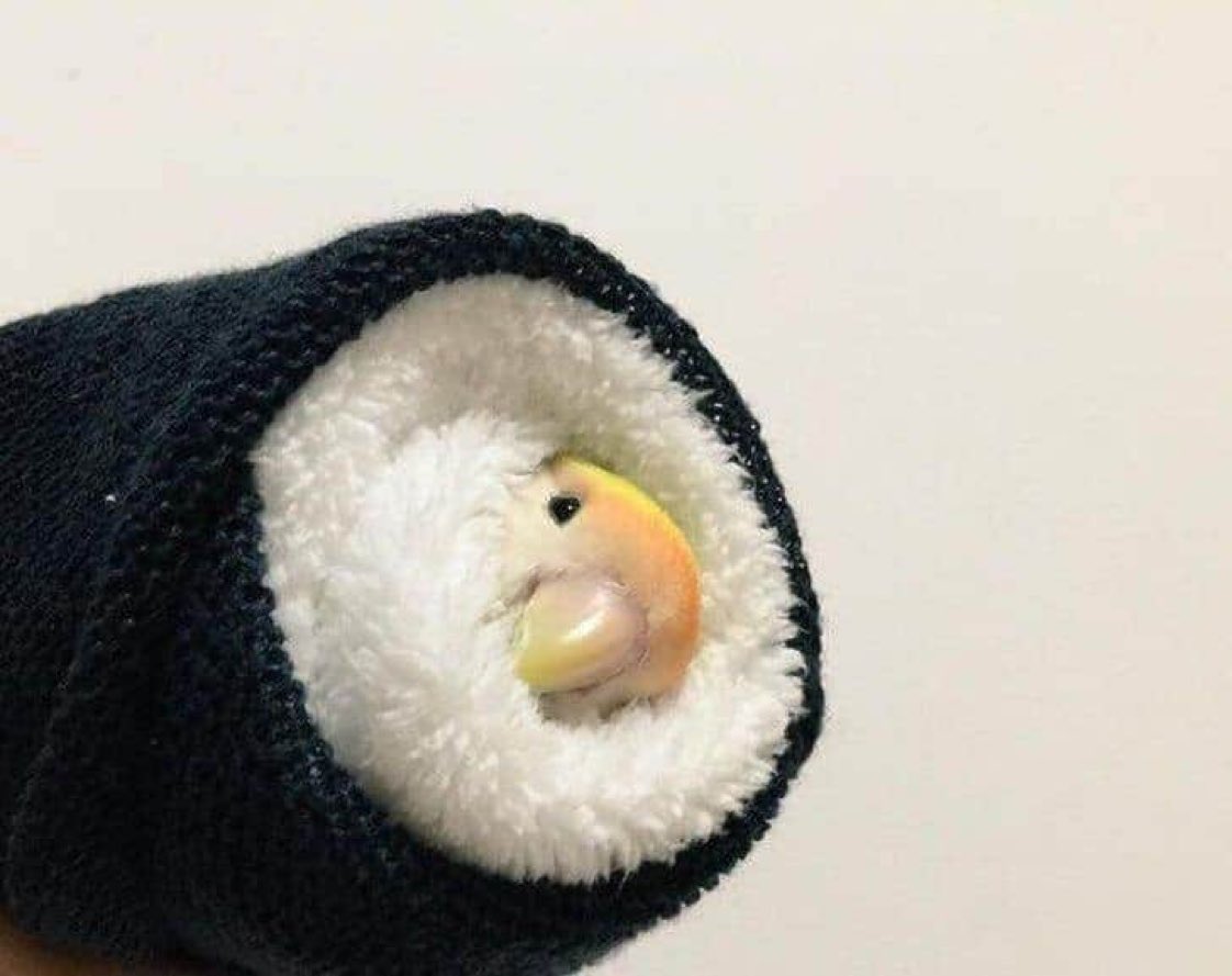imemetendo's tweet photo. yo a los 5 años envuelto en la toalla esperando a que mi mama preparara mi outfit https://t.co/oaDpbcGNFp