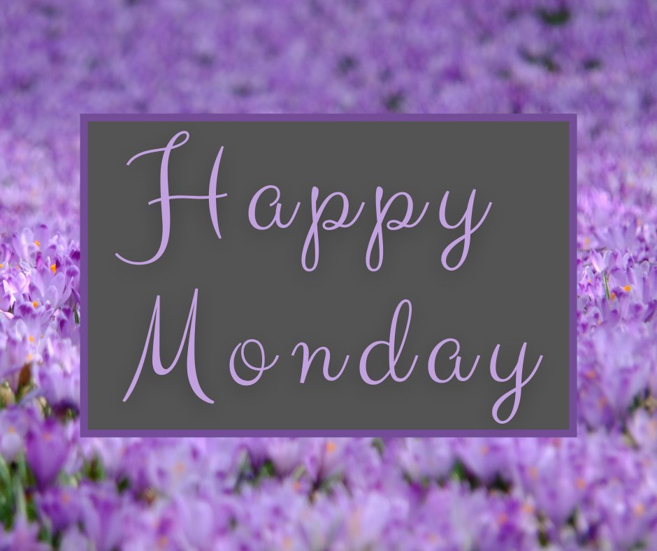 Happy Monday! We at Zilis hope you have a wonderful day! #monday #happymonday #startyourweek #makingitcount