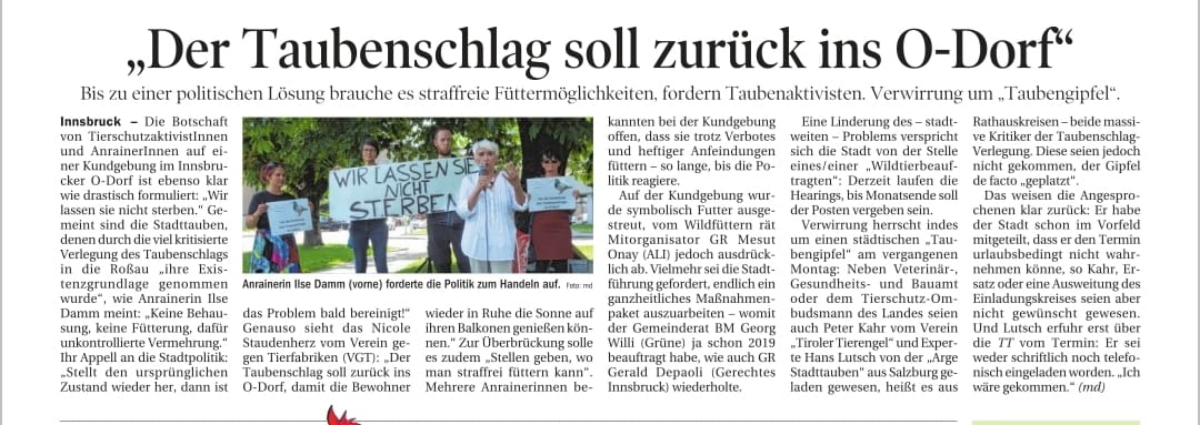 mesut_onay's tweet photo. Heute @TTNachrichten. Der Kampf der #Tauben gegen ihre Verdrängung.Solidarität wächst. #Wirlassensienichtsterben https://t.co/pRIhA3A0i9