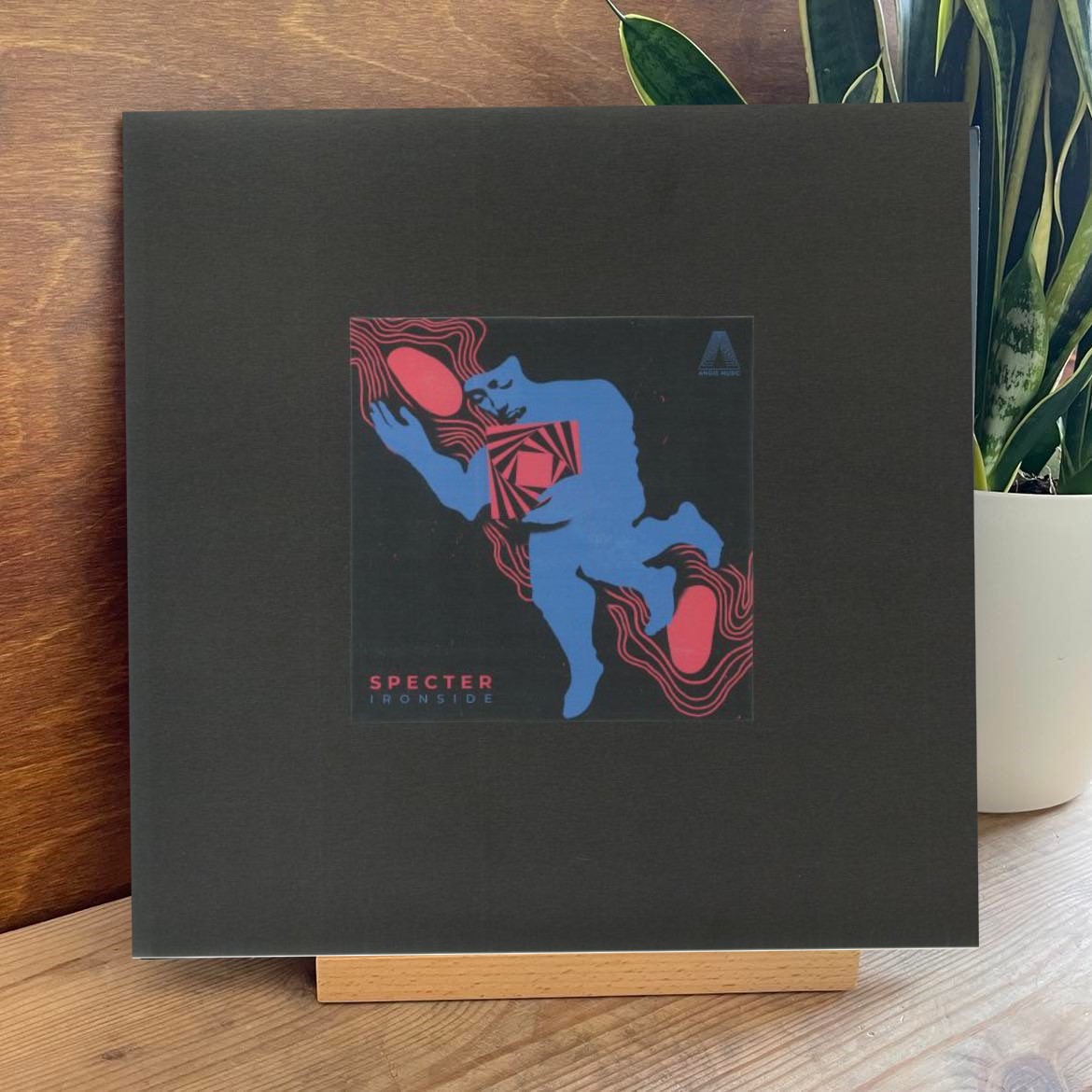 Junorecords's tweet image. Samuele Pagliai's Angis Music is thoughtfully curated with deep and groovy electronic music in mind that will test time, Angis Music returns with a new EP from the lush imagination of Chicago veteran Specter.

Listen Here: bit.ly/3O8k8Nn