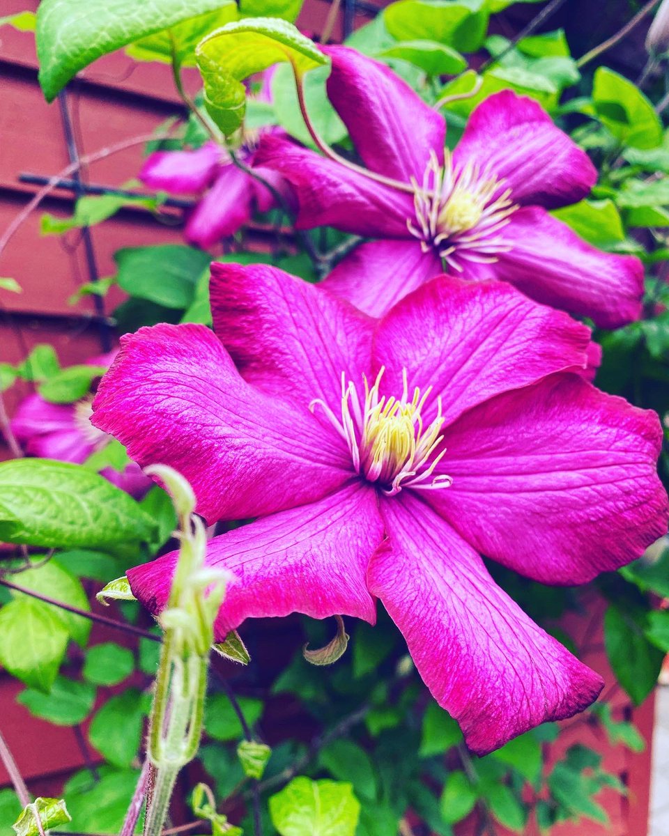 Kia the CopyKatt ✍🏻😼 tweet media