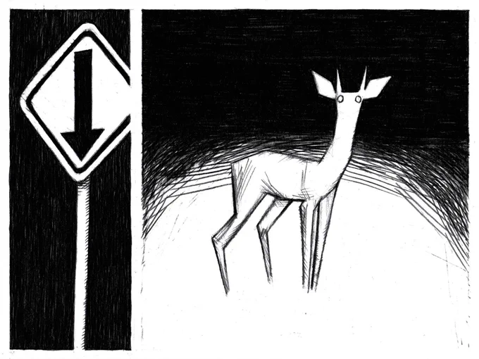 See them in the headlights on the empty road 